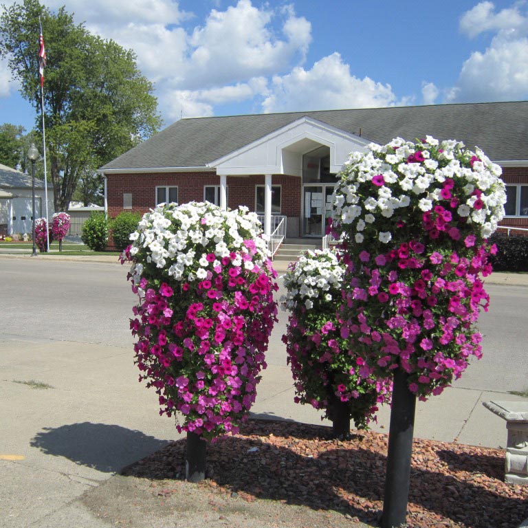 image of a town square with flowers